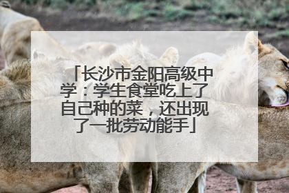 长沙市金阳高级中学：学生食堂吃上了自己种的菜，还出现了一批劳动能手