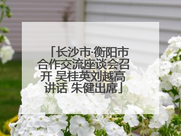 长沙市·衡阳市合作交流座谈会召开 吴桂英刘越高讲话 朱健出席