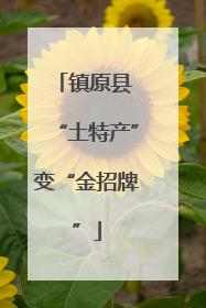 镇原县 “土特产”变“金招牌”
