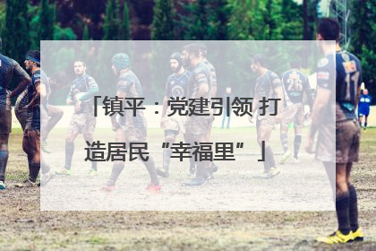 镇平：党建引领 打造居民“幸福里”