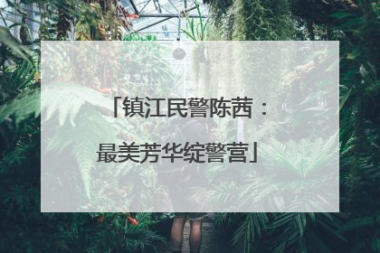 镇江民警陈茜：最美芳华绽警营