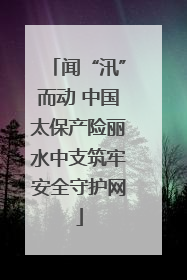 闻“汛”而动 中国太保产险丽水中支筑牢安全守护网