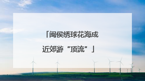 闽侯绣球花海成近郊游“顶流”