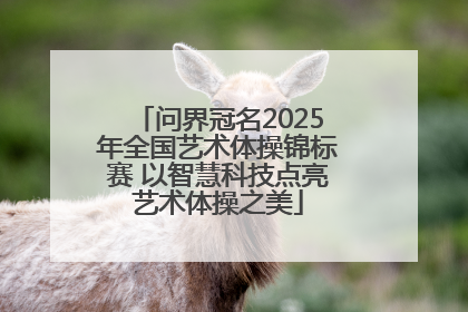 问界冠名2025年全国艺术体操锦标赛 以智慧科技点亮艺术体操之美