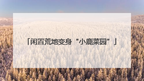闲置荒地变身“小鹿菜园”