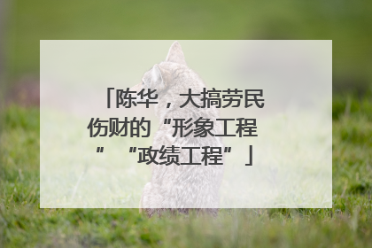 陈华，大搞劳民伤财的“形象工程”“政绩工程”