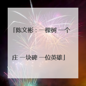 陈文彬：一棵树 一个庄 一块碑 一位英雄