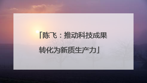 陈飞：推动科技成果转化为新质生产力