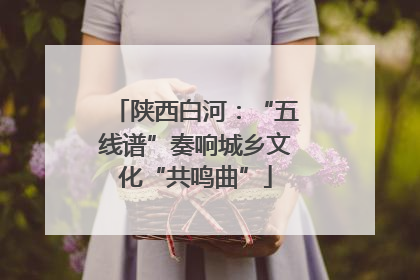 陕西白河：“五线谱”奏响城乡文化“共鸣曲”