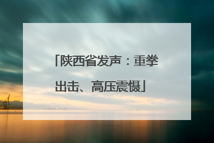 陕西省发声：重拳出击、高压震慑