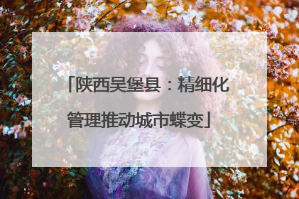 陕西吴堡县：精细化管理推动城市蝶变