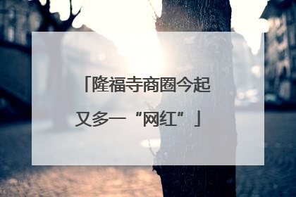隆福寺商圈今起又多一“网红”