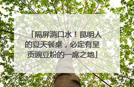 隔屏淌口水！昆明人的夏天餐桌，必定有呈贡豌豆粉的一席之地