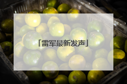 雷军最新发声