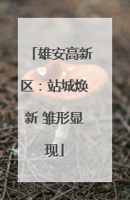 雄安高新区：站城焕新 雏形显现