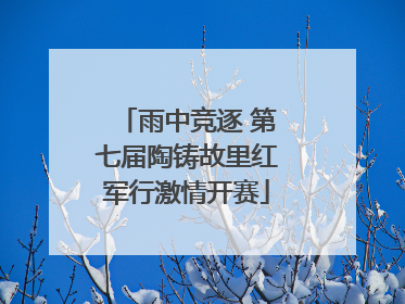 雨中竞逐 第七届陶铸故里红军行激情开赛