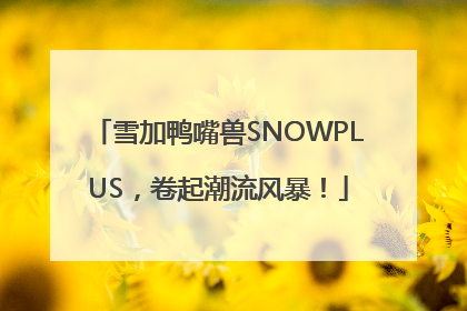 雪加鸭嘴兽SNOWPLUS，卷起潮流风暴！