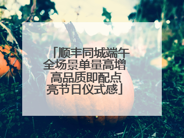 顺丰同城端午全场景单量高增 高品质即配点亮节日仪式感