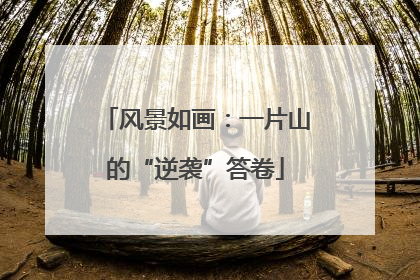 风景如画：一片山的“逆袭”答卷