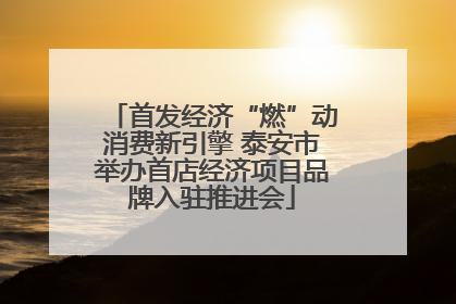 首发经济“燃”动消费新引擎 泰安市举办首店经济项目品牌入驻推进会