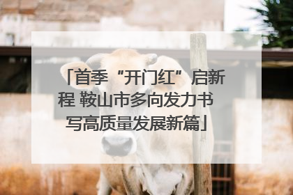 首季“开门红”启新程 鞍山市多向发力书写高质量发展新篇