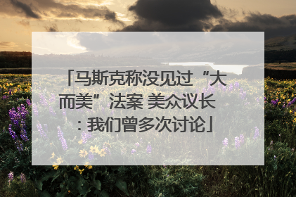 马斯克称没见过“大而美”法案 美众议长：我们曾多次讨论