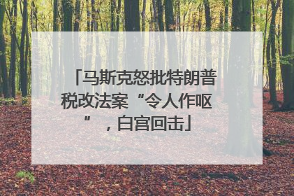 马斯克怒批特朗普税改法案“令人作呕”，白宫回击