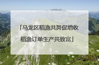 马龙区稻渔共舞促增收 稻渔订单生产共致富
