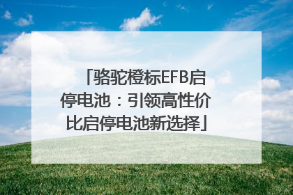 骆驼橙标EFB启停电池：引领高性价比启停电池新选择