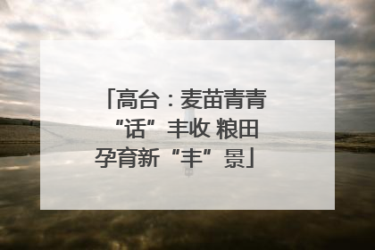 高台：麦苗青青“话”丰收 粮田孕育新“丰”景