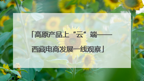 高原产品上“云”端——西藏电商发展一线观察