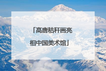高唐秸秆画亮相中国美术馆