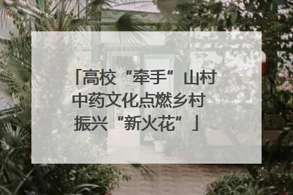 高校“牵手”山村 中药文化点燃乡村振兴“新火花”