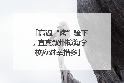 高温“烤”验下，宜宾叙州樟海学校应对举措多