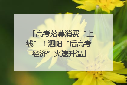 高考落幕消费“上线”！泗阳“后高考经济”火速升温