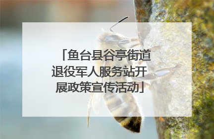 鱼台县谷亭街道退役军人服务站开展政策宣传活动