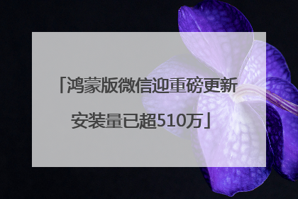 鸿蒙版微信迎重磅更新 安装量已超510万