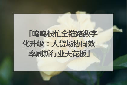 鸣鸣很忙全链路数字化升级：人货场协同效率刷新行业天花板