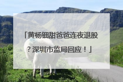 黄杨钿甜爸爸连夜退股？深圳市监局回应！