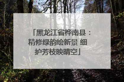 黑龙江省桦南县：精修绿韵绘新景 细护芳枝映晴空