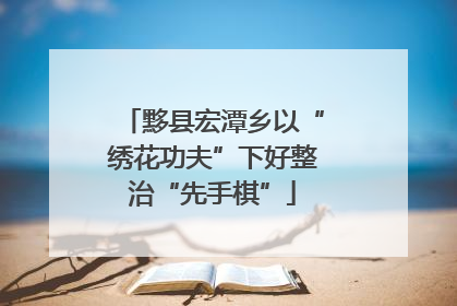 黟县宏潭乡以“绣花功夫”下好整治“先手棋”