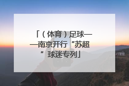 （体育）足球——南京开行“苏超”球迷专列