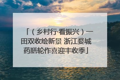 （乡村行·看振兴）一田双收绘新景 浙江婺城药膳轮作喜迎丰收季