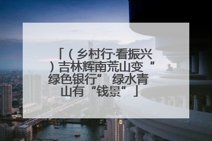 （乡村行·看振兴）吉林辉南荒山变“绿色银行” 绿水青山有“钱景”