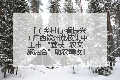 （乡村行·看振兴）广西钦州荔枝集中上市 “荔枝+农文旅融合”助农增收