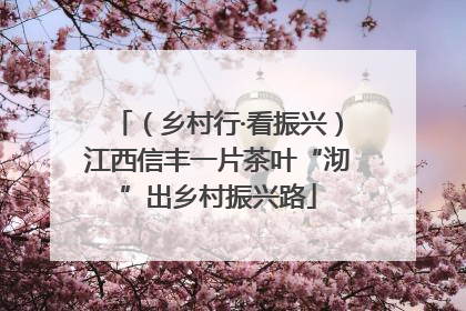 （乡村行·看振兴）江西信丰一片茶叶“沏”出乡村振兴路