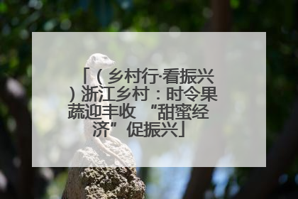 （乡村行·看振兴）浙江乡村：时令果蔬迎丰收 “甜蜜经济”促振兴
