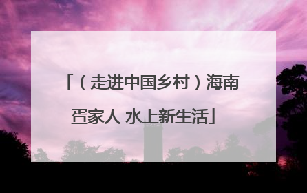 （走进中国乡村）海南疍家人 水上新生活