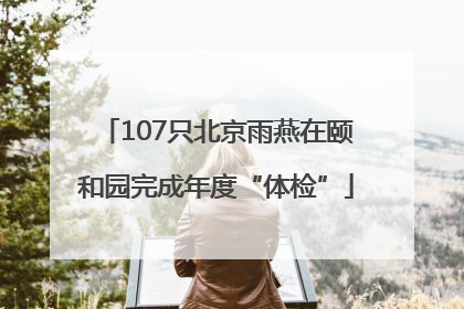 107只北京雨燕在颐和园完成年度“体检”