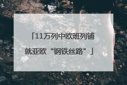 11万列中欧班列铺就亚欧“钢铁丝路”